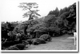 �����̏�