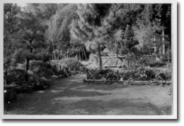 �s���ݏ���