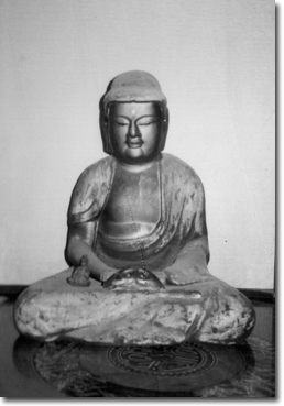 ����ɔ@����