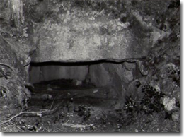 �T�̔��񍆌Õ�