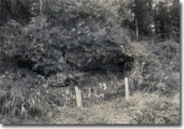 ������̒���ߗ�